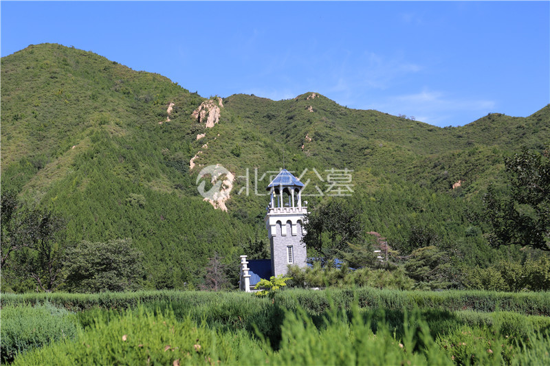 墓区环境实拍 墓区环境实拍