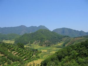 坟地风水的中明堂应依据什么准则?要注意什么? 第1张 坟地风水的中明堂应依据什么准则?要注意什么? 第1张