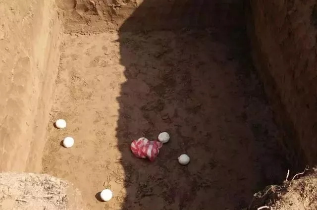 ɥ��ϰ�ף���Ĺ ��3��