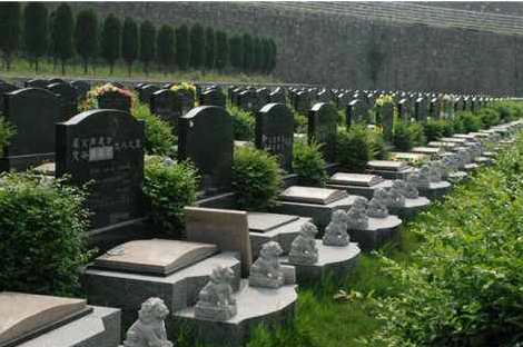 墓地风水学-墓地风水也能改变命运?-风水八字同城网 第1张