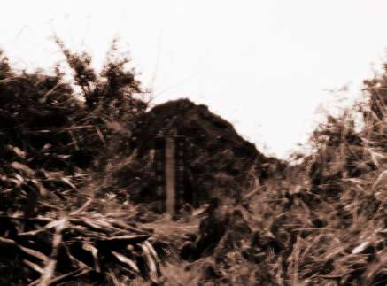 怎么选墓地风水 怎么选风水宝地 第1张 怎么选墓地风水 怎么选风水宝地 第1张