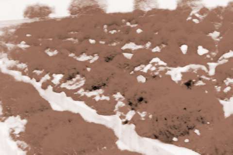 طˮѧӰ 1