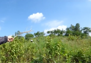 1548400536569310.png 图片1.png