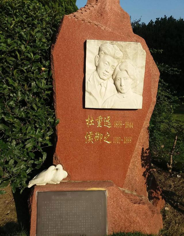 1587609106301997.jpg 1.jpg